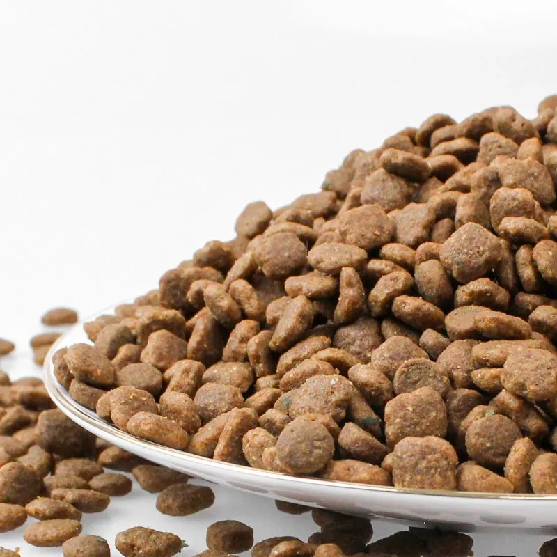 Bwyd hwyaden a chŵn gellygen wedi'i bobi