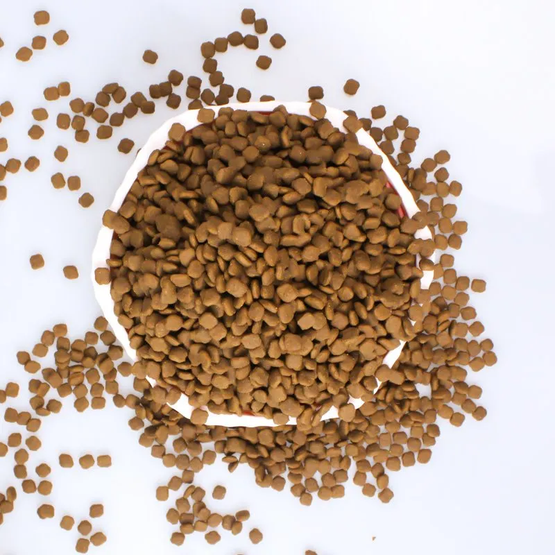 Bwyd cŵn maethol gorau